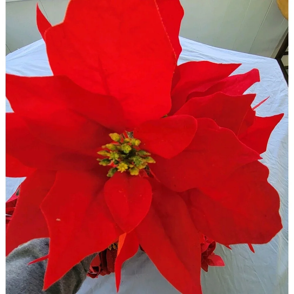 Poinsettias Artificial Christmas Flowers Artificial Decorations - 4 Bunches